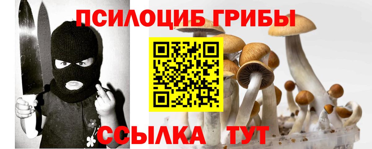 Псилоцибиновые грибы MAGIC MUSHROOMS Тихвин