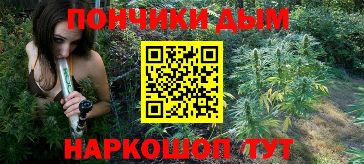 Марихуана индика  Шишки марихуана планчик  Тихвин  Каннабис сатива  Вход с VPN 